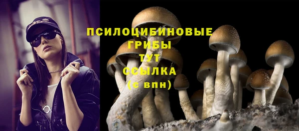первитин Белокуриха