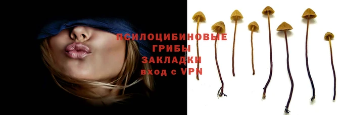 первитин Белокуриха