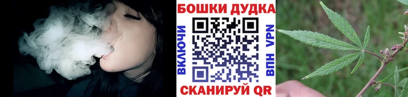 Шишки марихуана план где найти кракен сайт Светлогорск